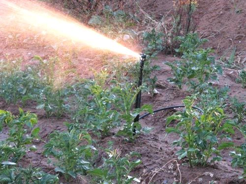 低速旋轉噴頭示意圖